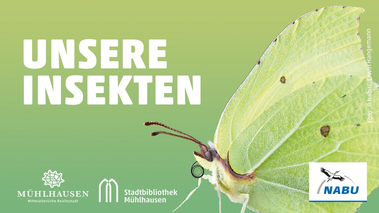 Unsere Insekten