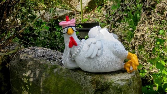 Frust und Lust im Paradies: Geschichten aus dem wahren Gartenlebe